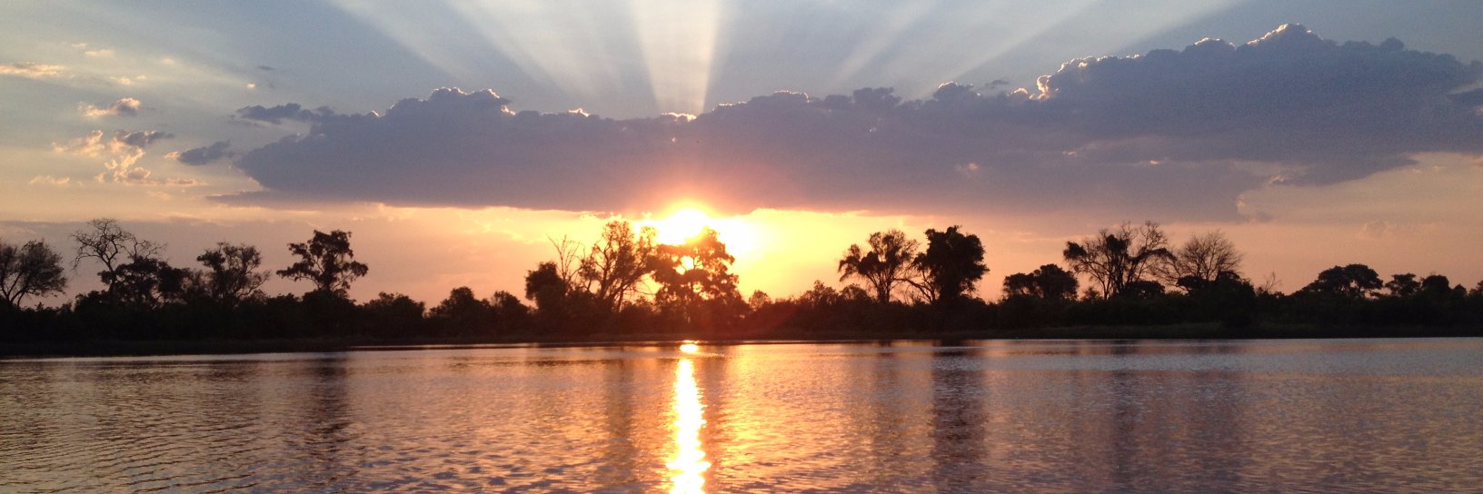 Jacqui Cook 💙🐝 banner
