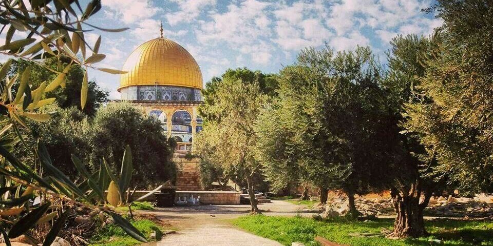 لُجَيْن🇵🇸 banner