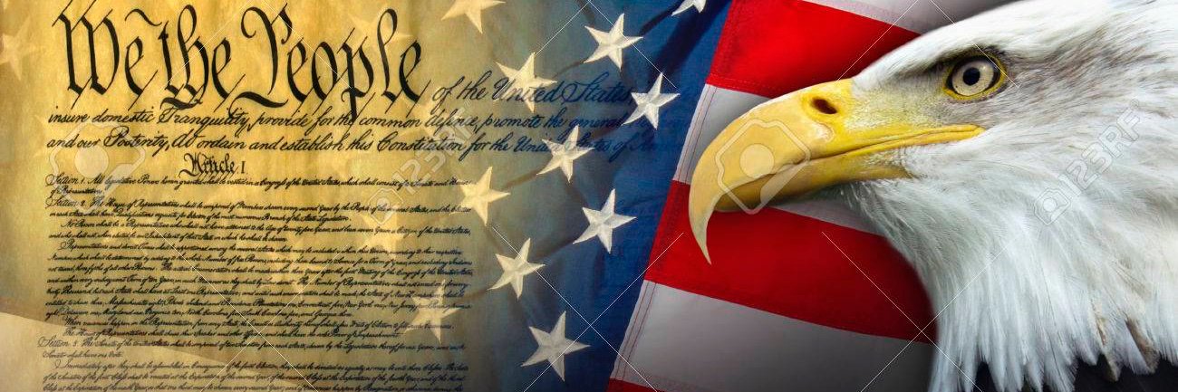 That Cat Zoe🇺🇸 banner