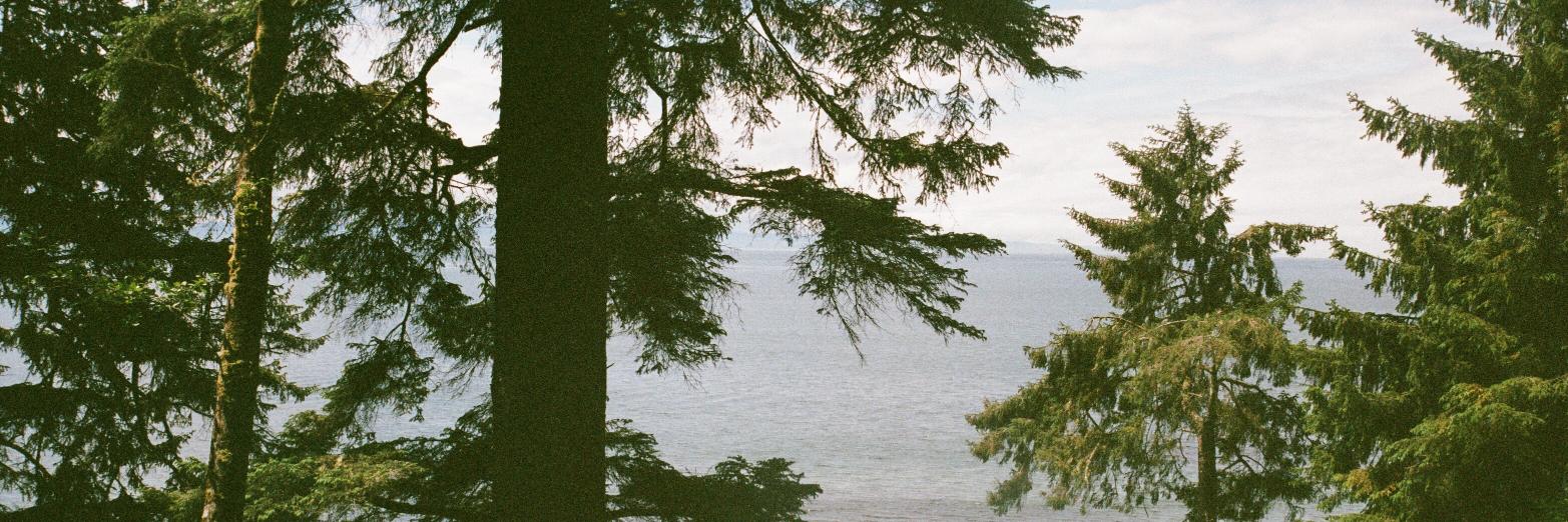 amandaspitz's profile banner image