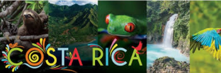 sarcasmotiko's profile banner image