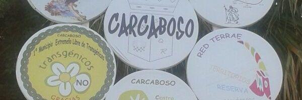 Lorena Rodriguez Lucero banner