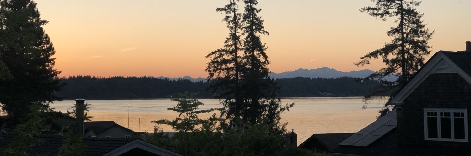 CamiStOnge's profile banner image