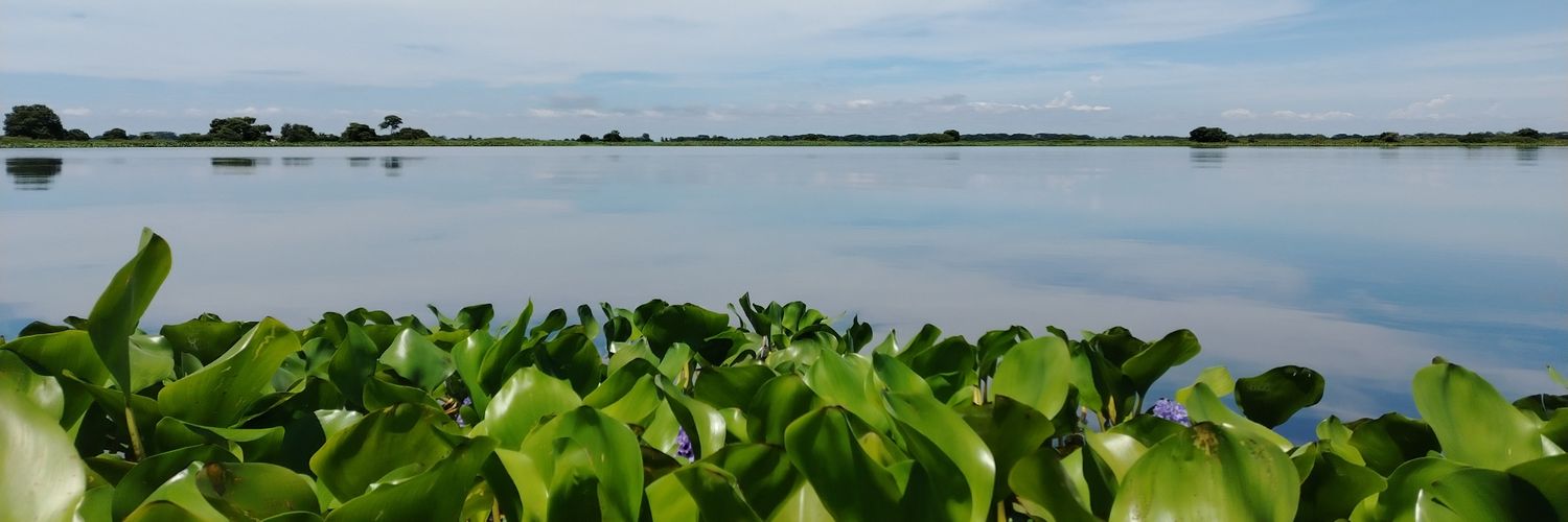 AlzatePues_'s profile banner image