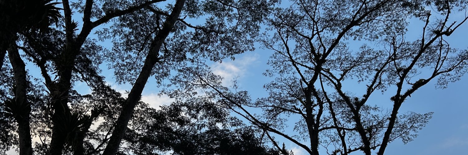curvbm's profile banner image