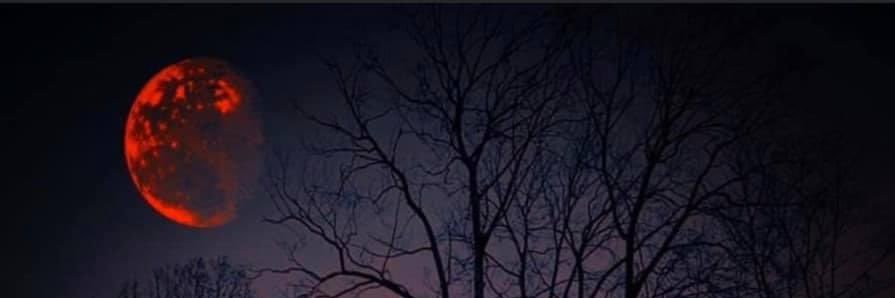 M_Rvmz's profile banner image