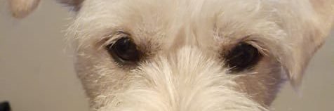 ppl1824's profile banner image