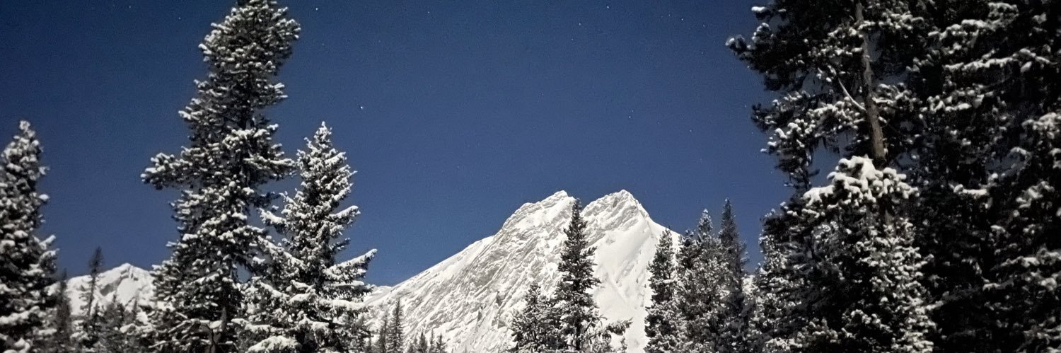 gjtich's profile banner image
