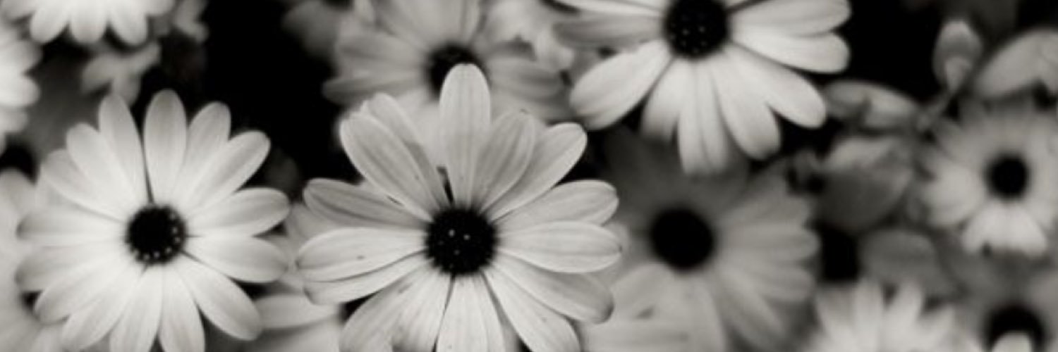 Kristyn_Ant's profile banner image