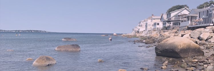 AnneliseKulpano's profile banner image