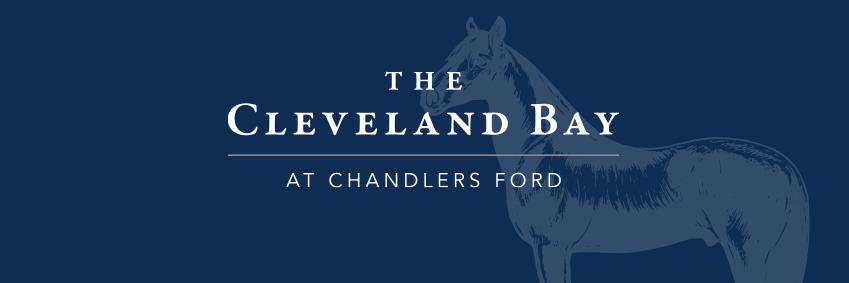 ClevelandBayUK's profile banner image