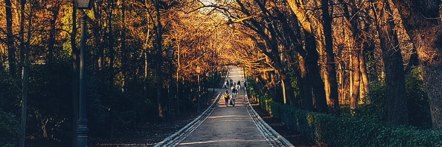 Andrep_cs's profile banner image