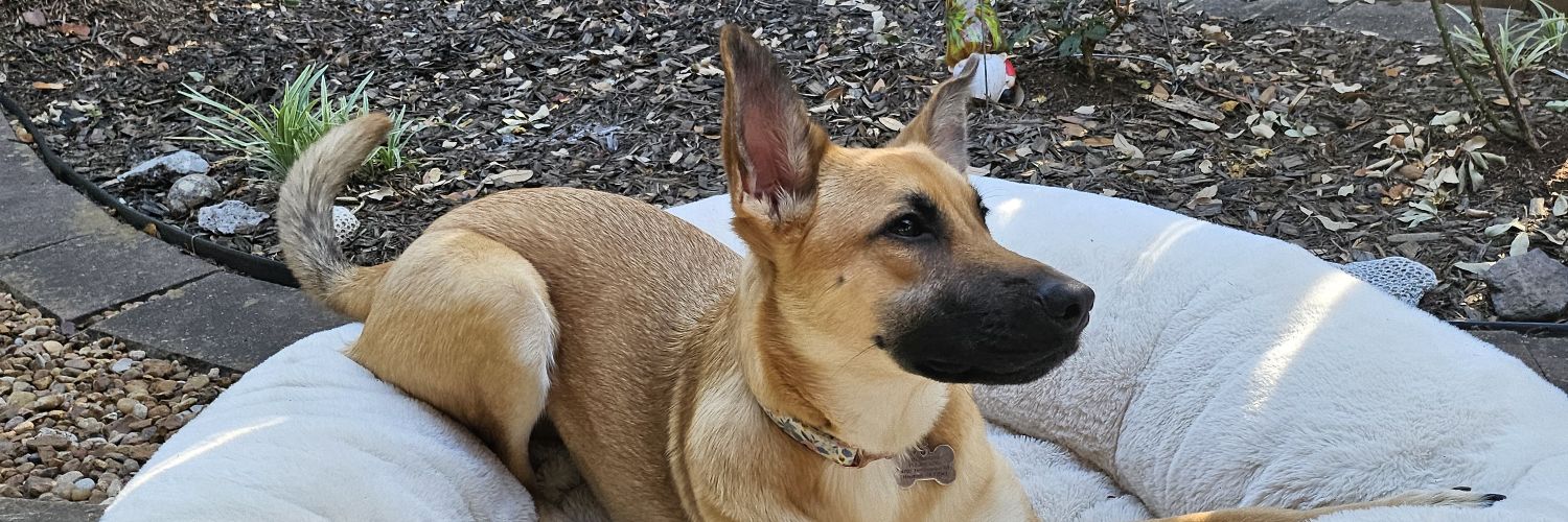 bamboozlerTX's profile banner image