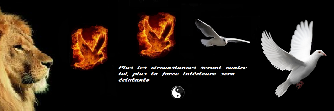 Philosophie de vie 🕊 banner