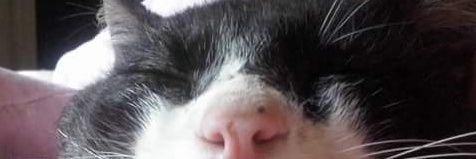 HevelynHevy's profile banner image