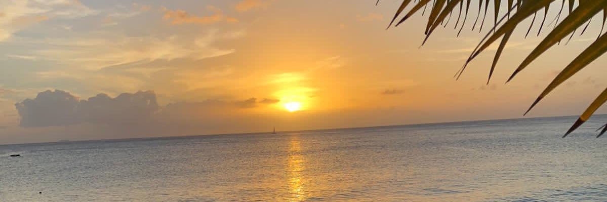 JoeHoustonSF's profile banner image