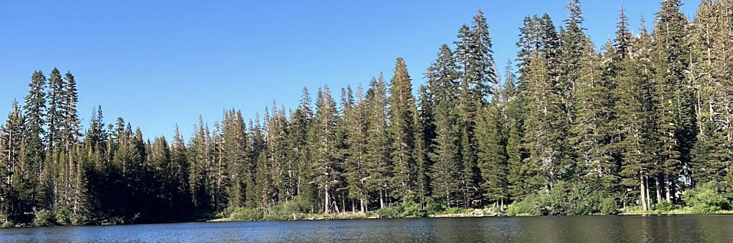 Jessica Hadwin banner