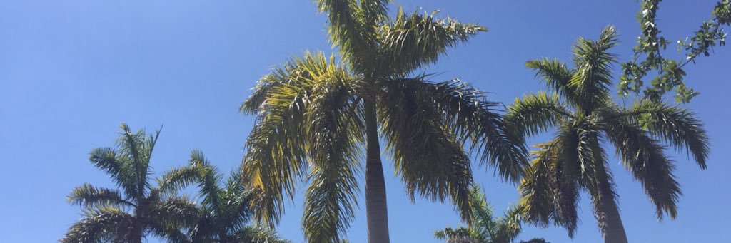 marisamarialara's profile banner image