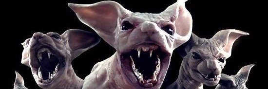 zdezoito's profile banner image