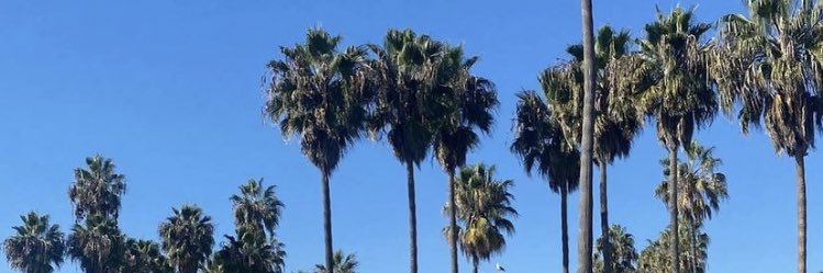 gracie banner