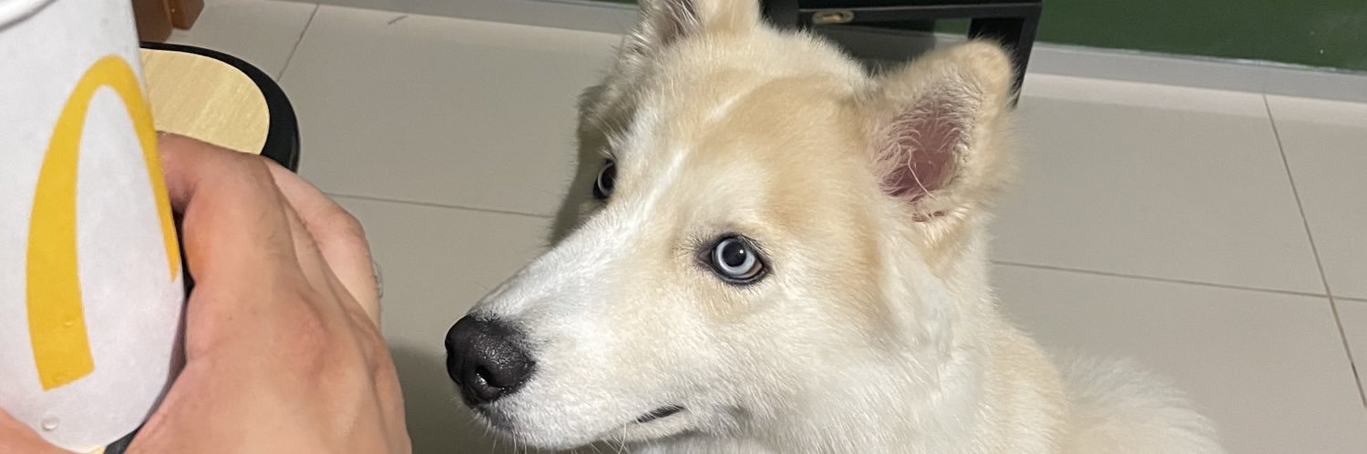 pedromed's profile banner image