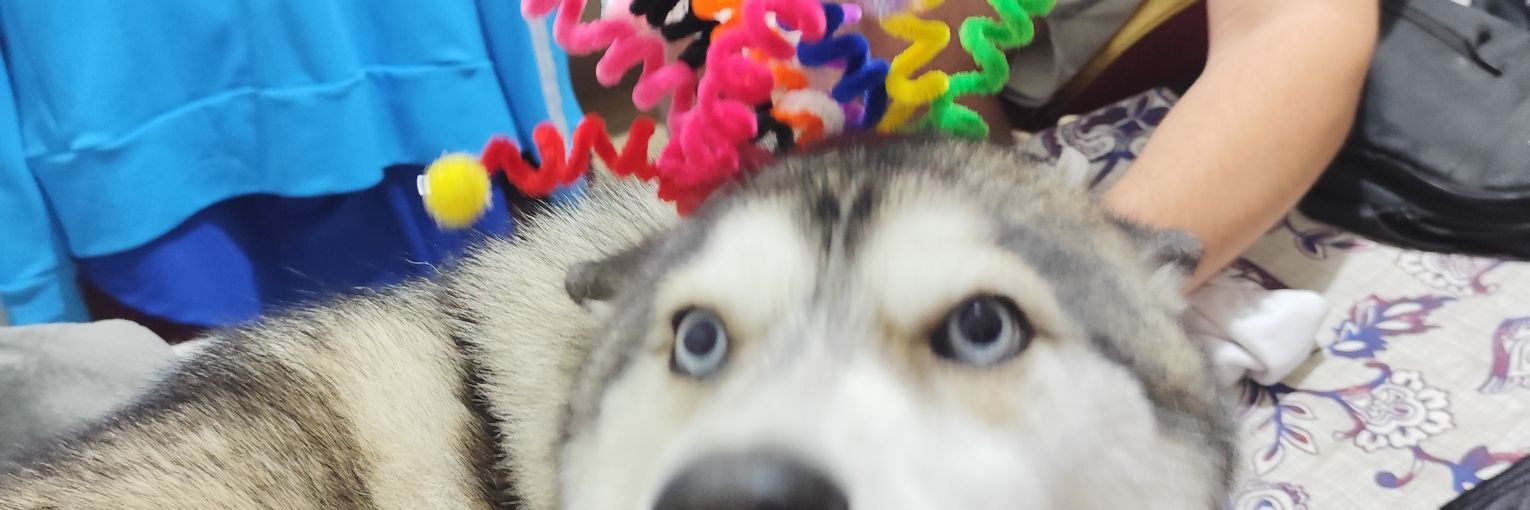 nrxna_ds's profile banner image