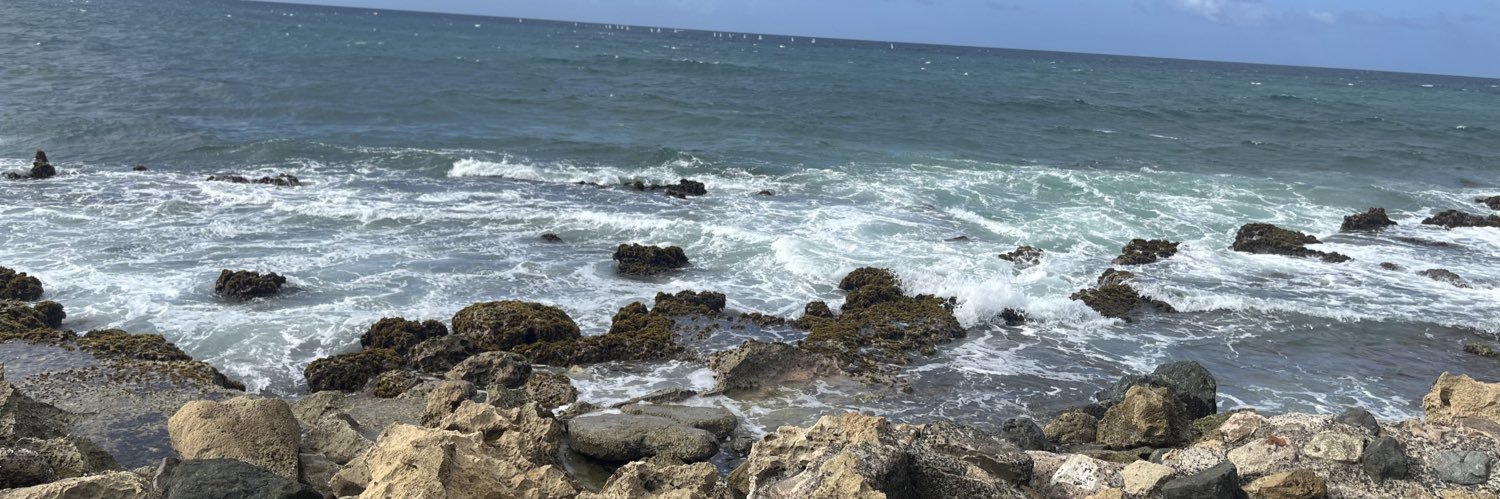 homosexual rigamarole banner