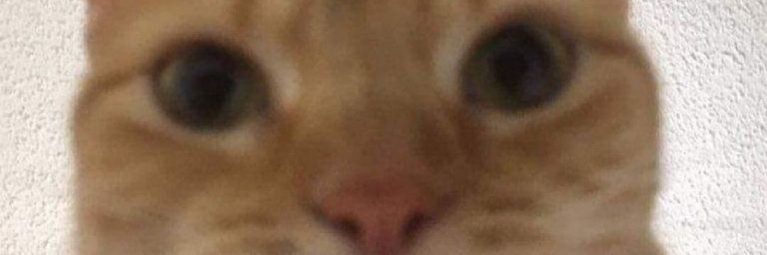 Control Force banner