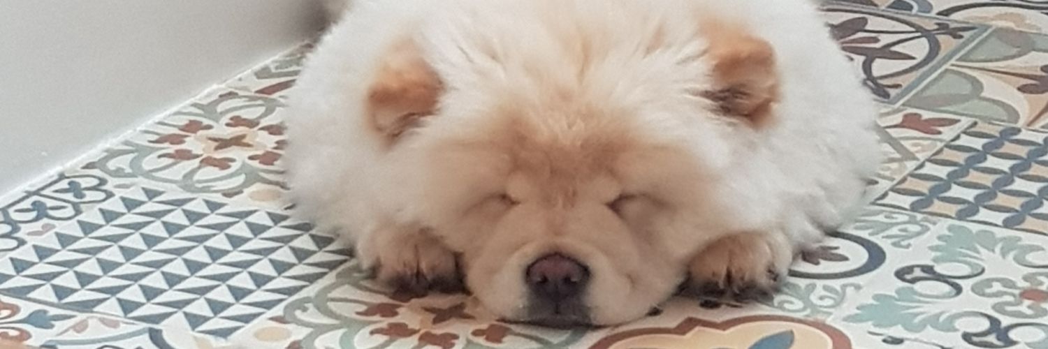 Ms_Gemma's profile banner image