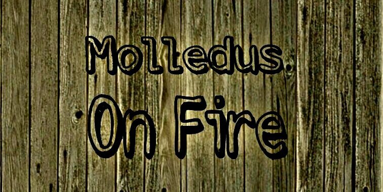 Molledus On Fire banner