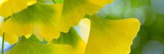 viocompatible's profile banner image
