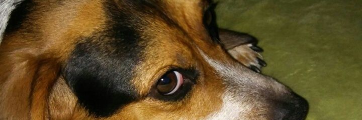 bbk2228's profile banner image