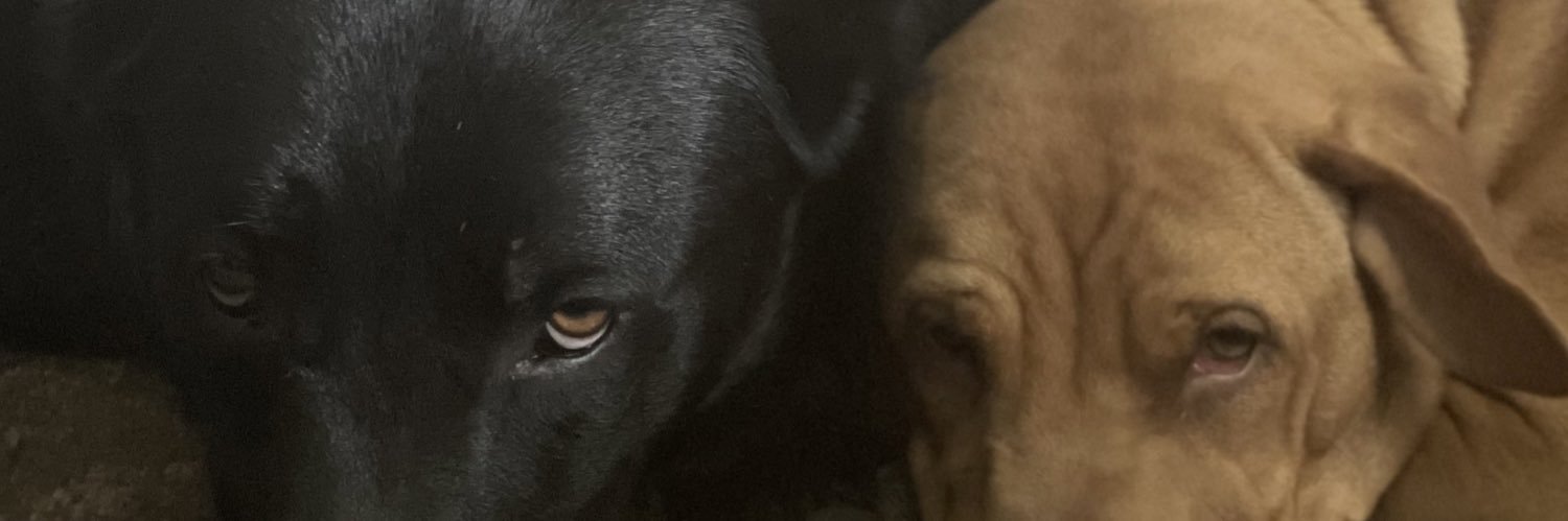 therealaltonb's profile banner image