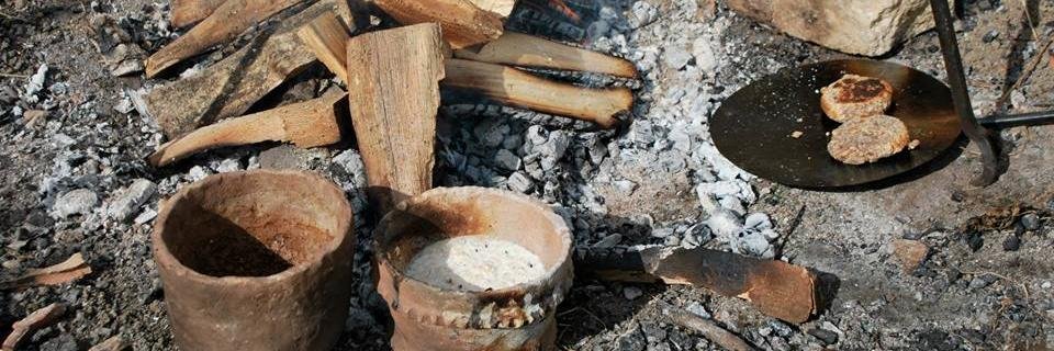 UCD Archaeology Society banner