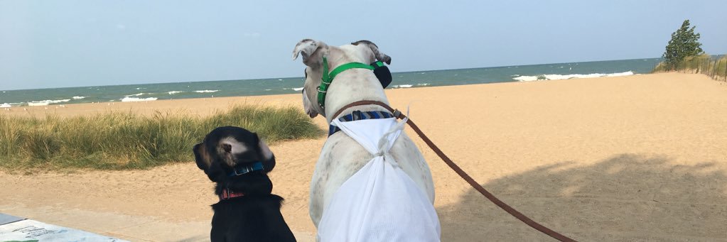 ChristaE23's profile banner image