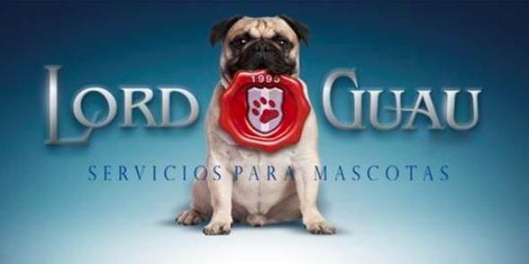 LORD GUAU banner