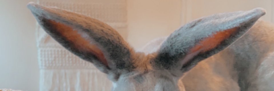 BabyyyStephh's profile banner image