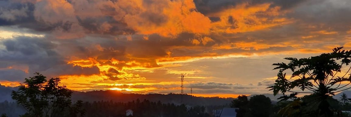 DonnySL's profile banner image