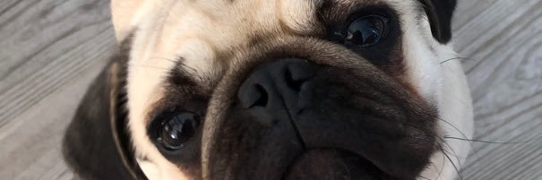 sleepymode36's profile banner image