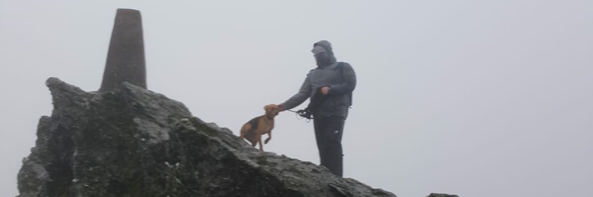 Michael Dever banner