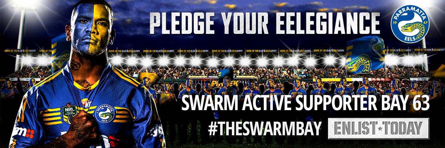 The Swarm Bay banner
