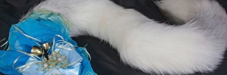 wwindr's profile banner image