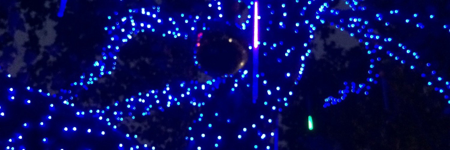 AngelFijiB's profile banner image