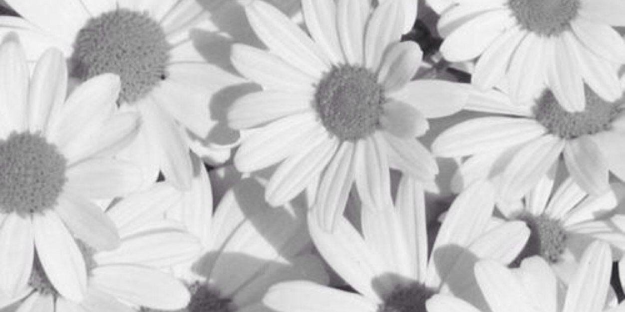stephaniegaxiol's profile banner image