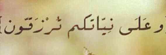 2_rasha_2's profile banner image