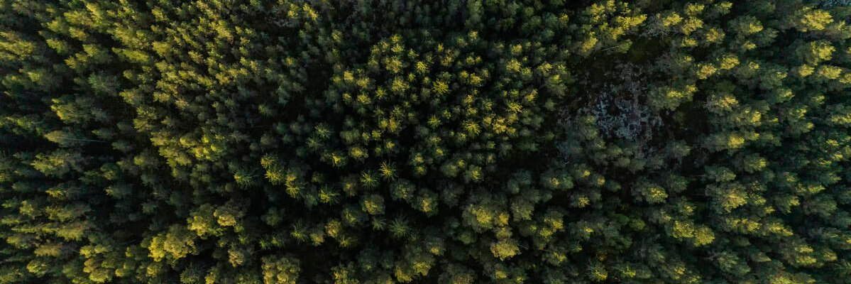 juhormk's profile banner image