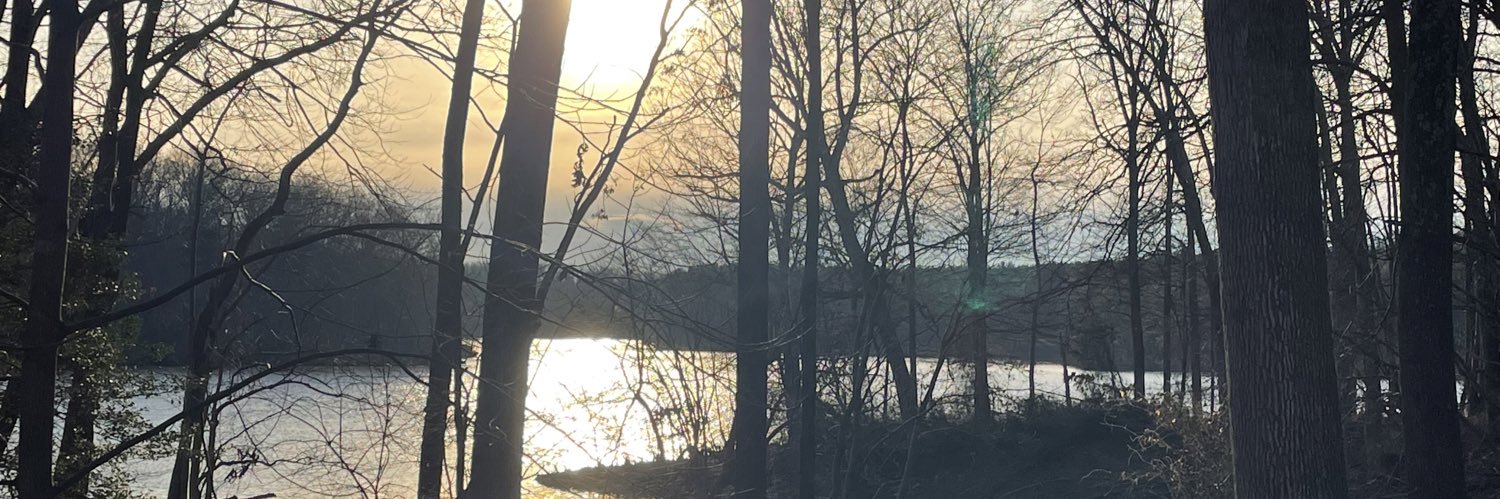 MomAboveAllElse's profile banner image