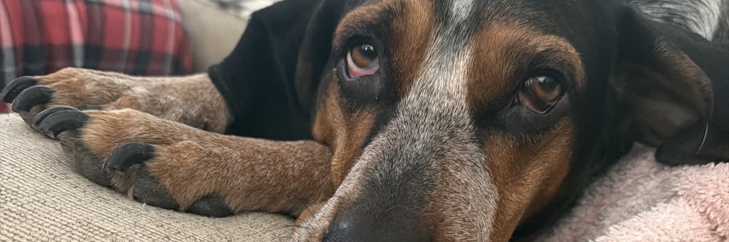 tayjcraw's profile banner image