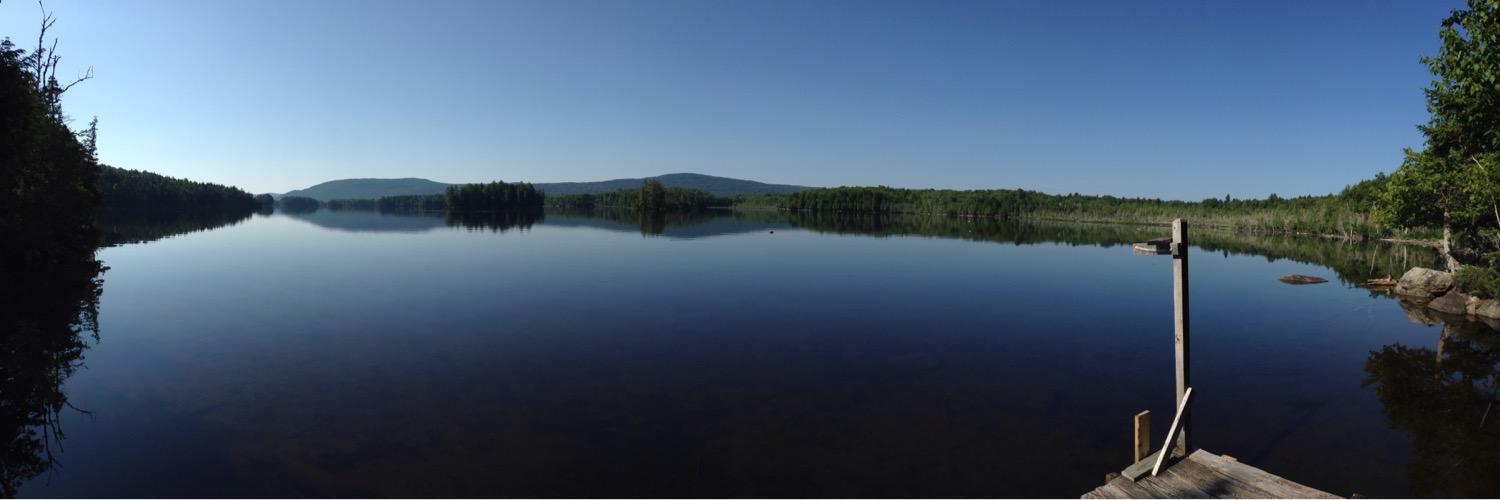 Robb Alford 🐷 banner