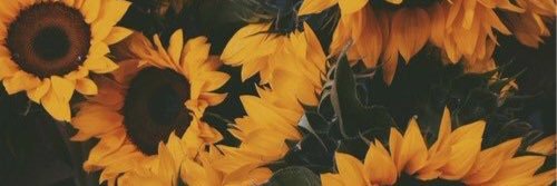 cheyannefierro's profile banner image